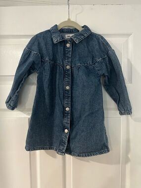 Zara Kids Blue Denim Button-Front Dress